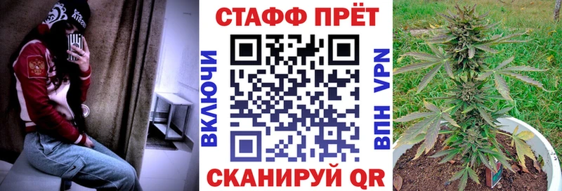 Галлюциногенные грибы Бугульма