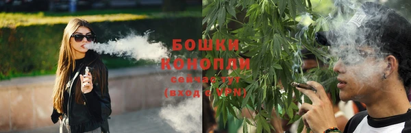 бошки Богданович