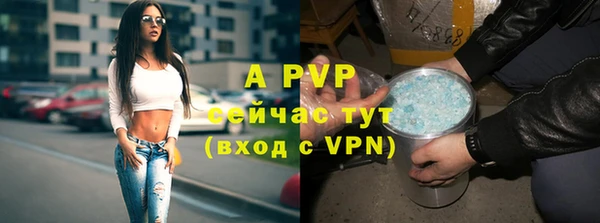 apvp Верея